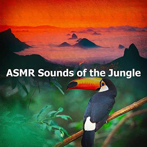 ASMR Sounds of the Jungle von The Sound Of The Jungle bei Amazon Music