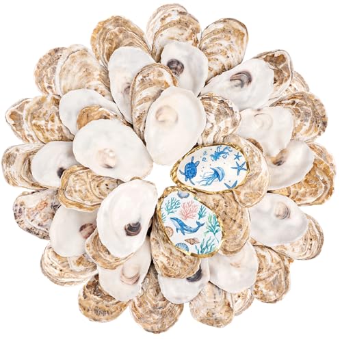 LAMIVORA 30Pcs Small Flat Oyster Shells for Crafts 2-3 Inch