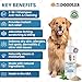 Premium Anti Itch Dog Shampoo for Sensitive Skin, Made in USA, Dry Skin Treatment for Dogs, Great for Allergies, Itching, Hot Spots, Natural Ingredients & Allergy Relief, 16 OZ [We Love Doodles]