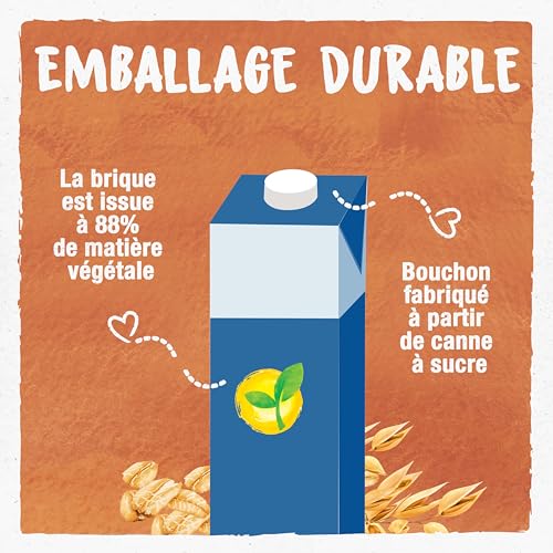 Boisson Végétale Bio Lait D'avoine Vanille Bjorg La Brique De - vue 8