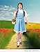 Rubies The Wizard of Oz: Dorothy Costume for Adults, Women's Large
