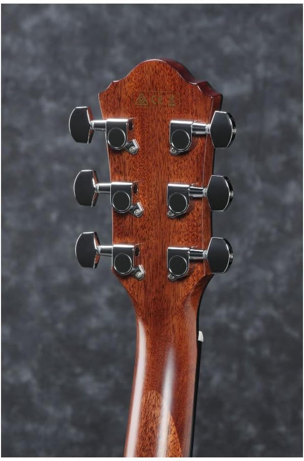 Close-up of the Ibanez AEG220 headstock from the back, showing tuning machines.