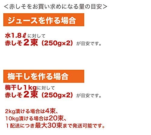 Amazon.co.jp: 赤しそ 赤紫蘇 赤シソ 5kg（250g×20束） 福岡県芦屋町産