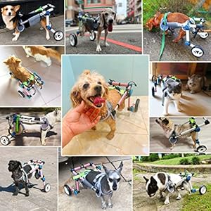 Adjustable-Dog-WheelchairFordable-Dog-Wheelchair-for-Back-LegsAssist-Small-Pets-with-Paralyzed-Hind-Limbs-to-Recover-2-Colour-5-SizeXXS-White - Cucciolini Doodles   Adjustable-Dog-WheelchairFordable-Dog-Wheelchair-for-Back-LegsAssist-Small-Pets-with-Paralyzed-Hind-Limbs-to-Recover-2-Colour-5-SizeXXS-White