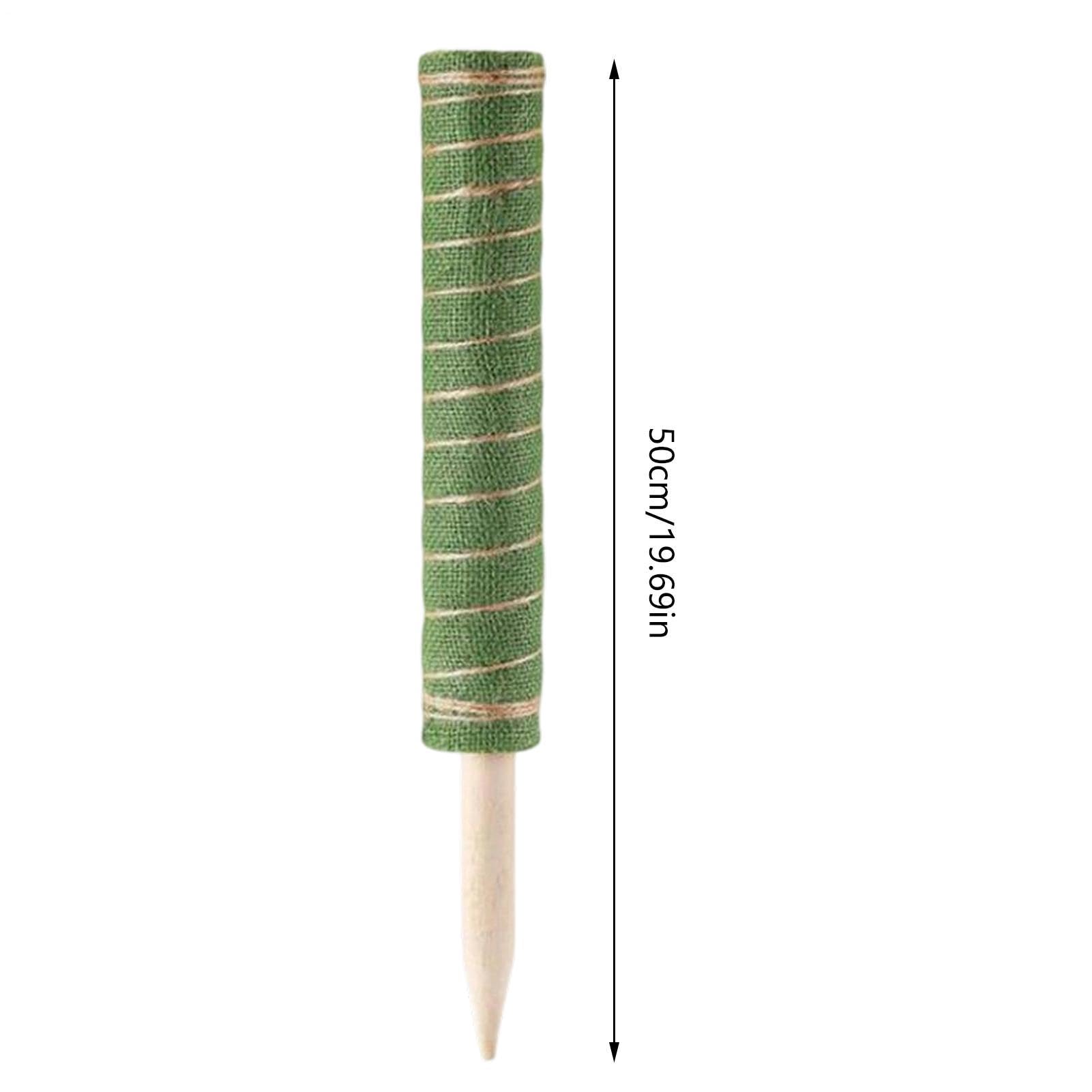 Tuteur pour Monstera Outil de jardinage réutilisable à absorption d'eau | Tuteurs de Support pour s Adapté à l'Intérieur et l'Extérieur Pothos Philodendron Pot Jardinière Balcon Terrasse Jardin