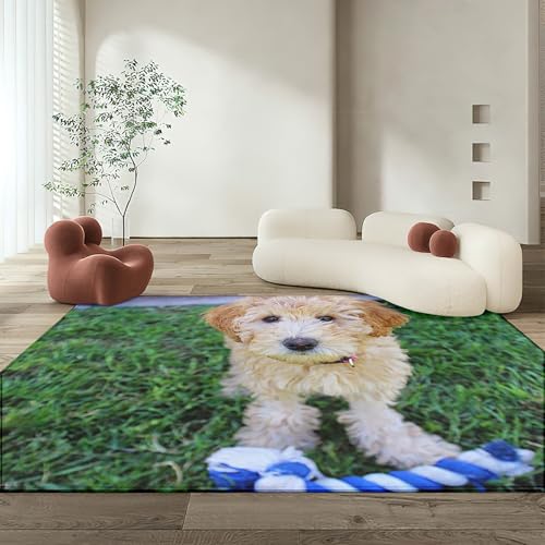 山 ラグマット おしゃれ 海 洗えるふわふわの滑り止めラグ、約3畳(200x250cm)、軽量で折りたたみ可能、ペットにも優しいラグ、リビング、廊下、ホームオフィス、キッチンに最適、オールシーズンに最適