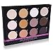 SHANY Everyday Natural Look Eyeshadow Palette (12 Colors Eyeshadow Palette, Large Pan Size, Limited), 9 Ounce