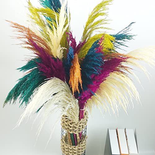 Mixed Pampas Grass, 20 Stems, 38 Inches, Dried Flowers, Natural Dried Pampas Grass Decor Tall For Floor Vase, Hand-Painted, Fluffy Large Leaves, Boho Home Decor Weddings Events (Mixed 20 Pcs) #TOP6