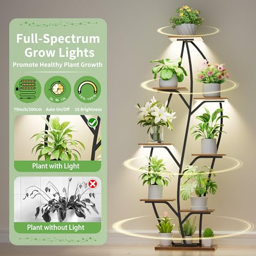 Image of Plant Stand Indoor with Grow Lights - Lighted Indoor Plant Shelf, 63 inch 8 Tier Corner Plants Stands for Indoor Growing, Leaf-Shaped Tall Flower Display Shelves Holder for Living Room, Bedroom, Black