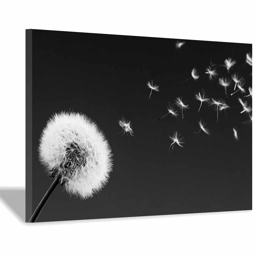 HOQIU Black And White Pictures For Walls BloWings Dandelions prints for walls, canvas wall art, for Living Room Bedroom Bathroom Home Office Wall Decoration(Multicolor)-30x40cm Framed