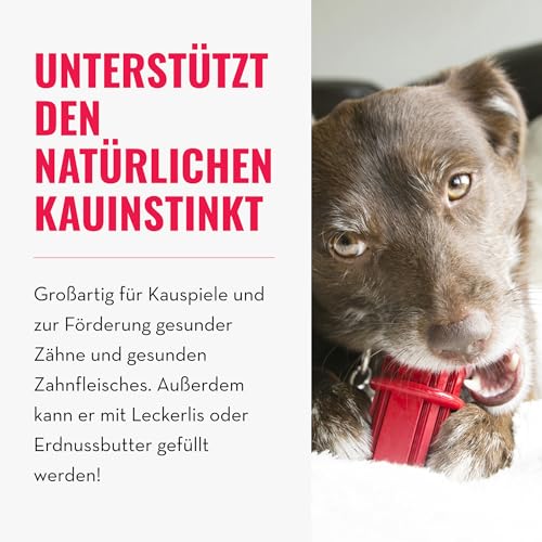 KONG Dental Stick - Für die Zahnpflege von Hunden - Befüllbares Kauspielzeug - Reinigt Zähne & Zahnfleisch - Hergestellt aus strapazierfähigem Naturkautschuk - Für Große Hunde