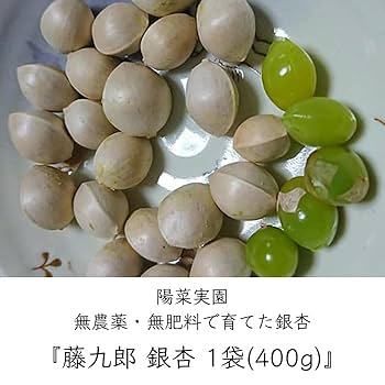Amazon.co.jp: 陽菜実園 無農薬 藤九郎 銀杏 ｜ 石川県 ギンナン