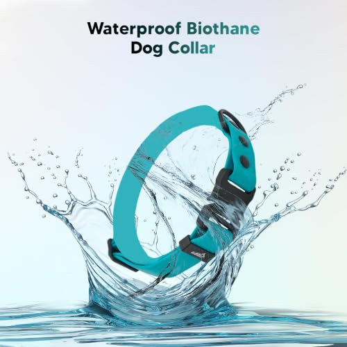 Image of Adil's Biothane Waterproof Dog Collar, Dog Leash & Collar Leash Combo | Heavy Duty TPU Coated Webbing | Adjustable Quick Release Buckle | Odour Resistant (Light Sky, M-18, Collar only)