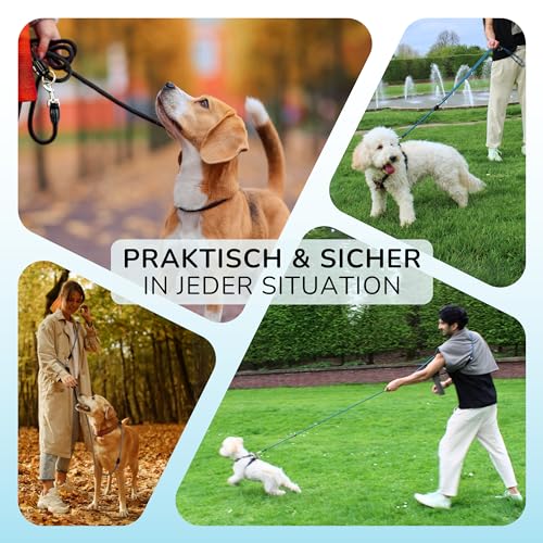 elevenants® Verstellbare Hundeleine 3 Meter | Robuste Nylon Umhängeleine für mittelgroße bis große Hunde | Führleine mit 200kg Zugkraft | Doppelleine mit 2 Karabiner | Multifunktionsleine (Grün)