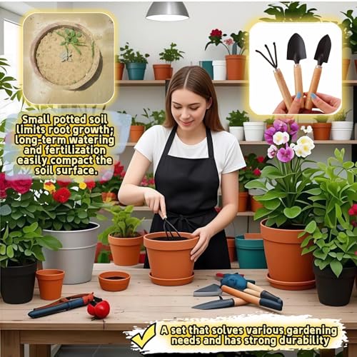 Set mini de herramientas para jardinería interior 3 piezas miniatura 2