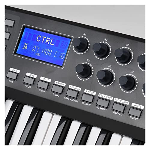 Clavier Piano 61 Touches USB MIDI Contrôleur du Clavier 8 RVB Tampons De Déclencheurs Arrière Colorés avec USB - Les Beatles, Paul McCartney, John Lennon, RIngo Starr, George Harrison Clavier Piano 61 Touches USB MIDI Contrôleur du Clavier 8 RVB Tampons De Déclencheurs Arrière Colorés avec USB – Image 3