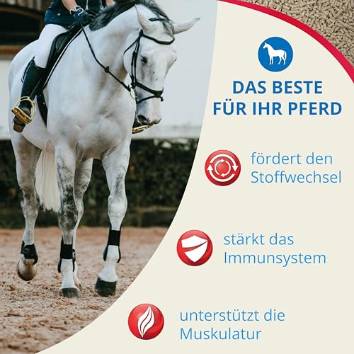Höveler Reformin Plus 25 kg – Mineralfutter für alle Pferde – Mineralstoffe, Spurenelemente und Vitamine – optimale & bedarfsgerechte Versorgung - Mineralfuttermittel