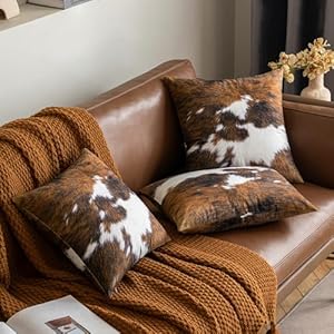  urban country home decor
