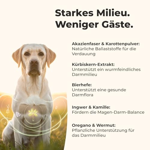 subosan® Wumina – Wurm-Kraut Tabletten für Hunde – für eine stabile Darmflora & EIN gutes Bauchgefühl – kein Anthelminthikum