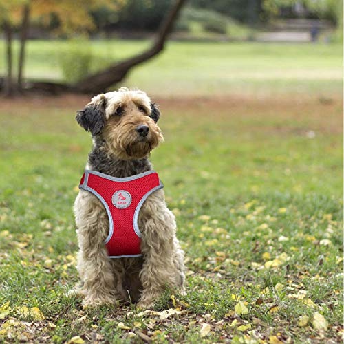 Kruz PET KZA306-14L Reflective Mesh Dog Harness, No Pull, Easy Walk, Quick Fit, Comfortable, Adjustable Pet Vest Harnesses for Walking, Training, Small, Medium Dogs - Red - Large - Thumbnail 4