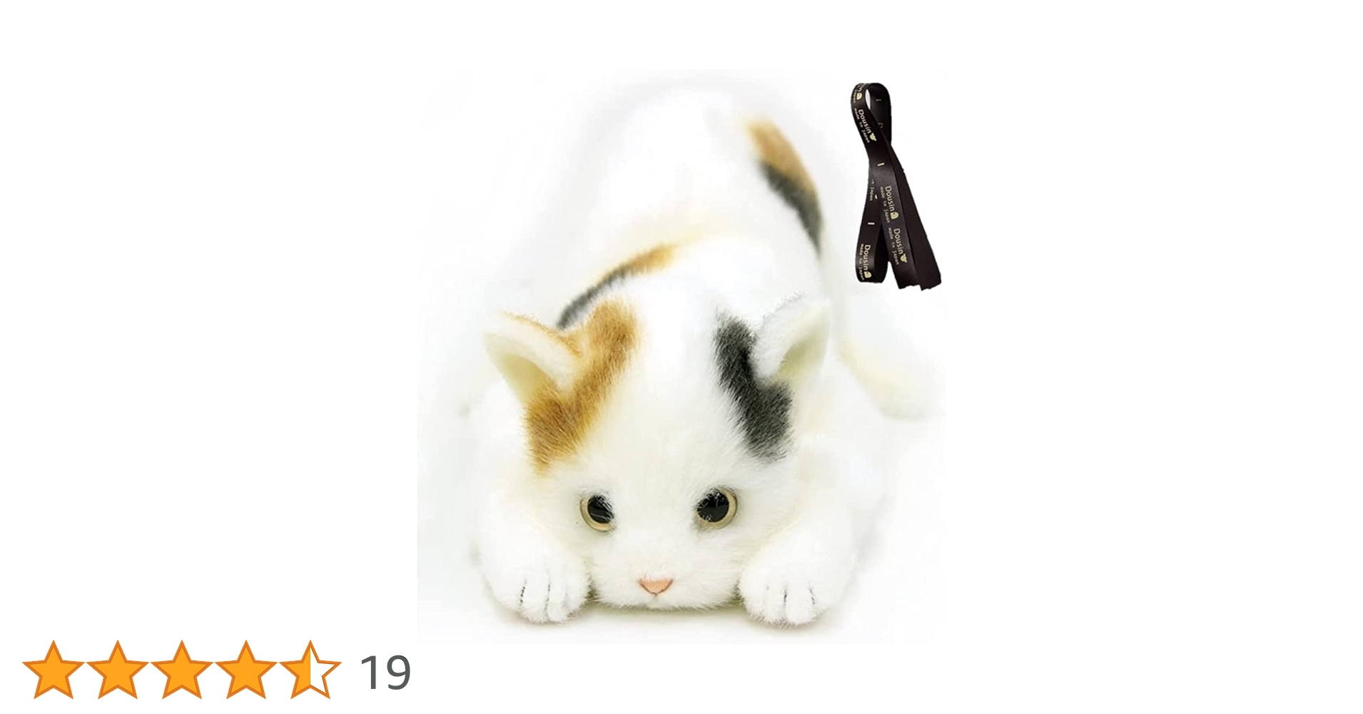 51r97pXbkOL.jpg_BO30,255,255,