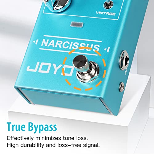Image of JOYO Chorus Pedal Multiple Chorus Effects Semi-Analog Circuit From Surreal Deep Tone to Fierce and Vintage Distortion for Electric Guitar (NARCISSUS R-22)
