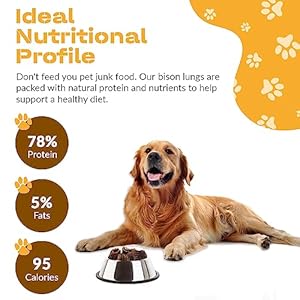 Canine chits bison lung fillets canine and pet treats  all pure grain and chemical free coaching chews  excessive protein and low fats  helps dental well being  made in the usa  massive 10 oz bag   cucciolini doodles