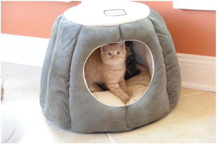 HomeStock Cat Bed Velvet & Faux Suede -Skid-Free Pet Bed - Removable Cushion - Laurel Green & Beige