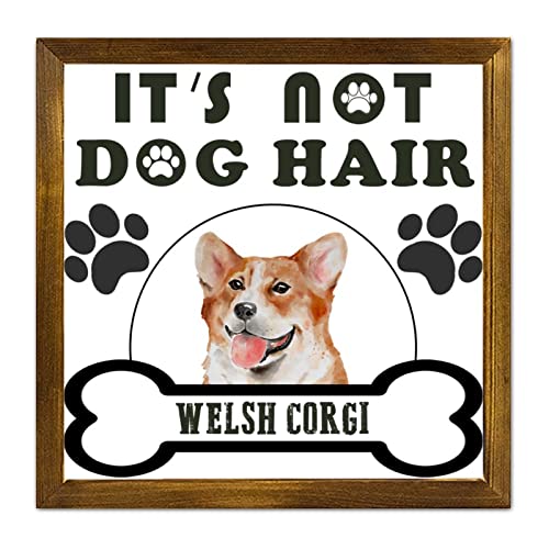 Cadre Welsh Corgi It's Not Dog Hair decoration murale rustique et idee cadeau