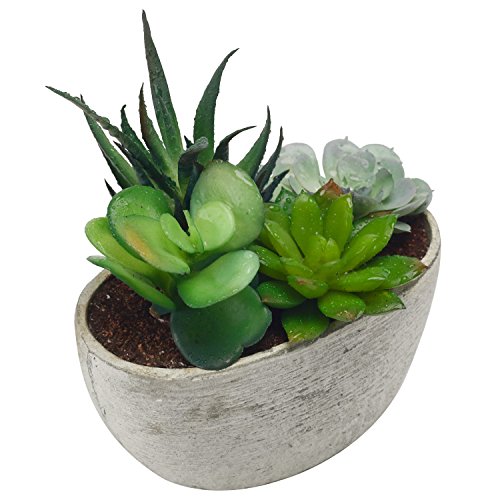 MyGift Decorative Artificial Succulent Plant Arrangement with Oval Gray Pot
