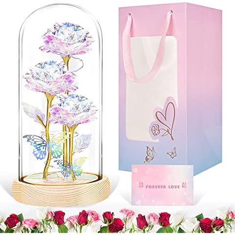 LinjunFa Eternal Rose in Glass Dome Cover