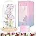 Produktbild BoriYa Ewige Rose Geschenke für Frauen, Frau,Muttertagsgeschenke für Mama,Infinity Rose im Glas,Schöne und das Biest Rose mit LED,Galaxy Rose Geschenk für Jahrestag Geburstag