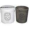 Diptyque feu de bois indooroutdoor ceramic candle 513 oz  urban country home decor