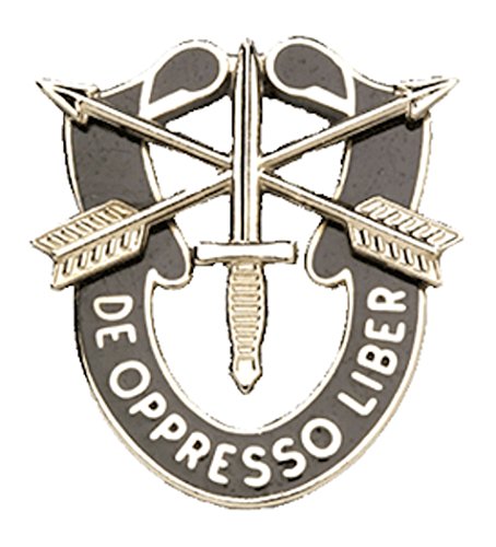 Special Forces Crest Pin