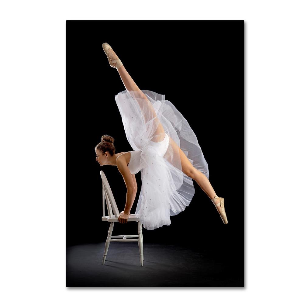 Touch Of Class by Pauline Pentony Ba, 16x24-Inch Canvas Wall Art