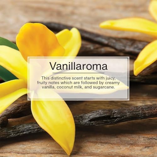 Image of LITTLE TREES Car Air Freshener | Hanging Paper Tree for Home or Car | Vanillaroma | 3 Pack