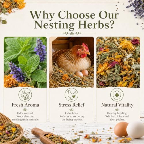 Image of MAQIHAN 20oz Chicken Nesting Herbs - Dried Poultry Herbs for Coop Boxes | Natural Bedding Decor for Hens, Ducks, Laying Areas, Box Pads, Habitat Refresher, Winter Supplies, Vacuum Packed