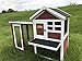 Advantek The Stilt House Rabbit Hutch