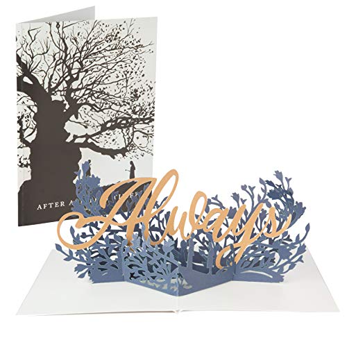 After All This Time Pop-Up Card
