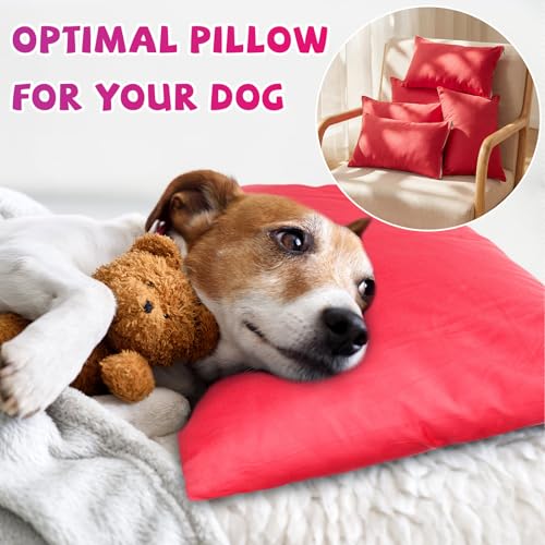 Set 6 Almohadas pequeñas Rojo 36x23 cm confort miniatura 3
