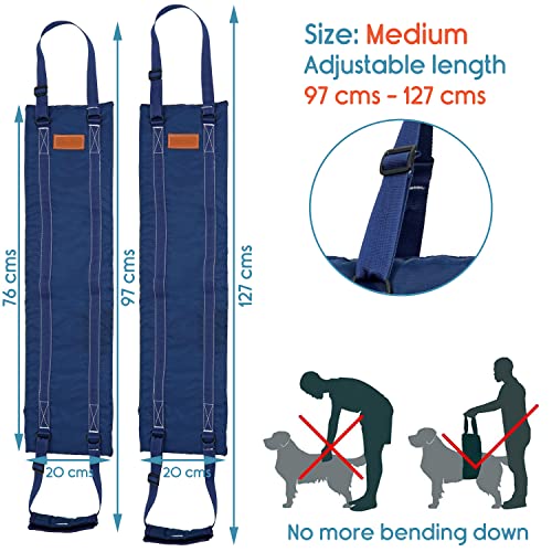 Image of KosmoCare Dog Sling Support and Rehab Harness for Weak Rear Legs | Dog Hip Support Harness | Adjustable Straps Support for Elderly, Injured and Disabled Dogs - Medium