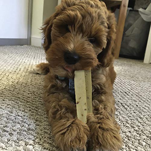 Himalayan Dog Chew Original Yak Cheese Dog Chews, 100% Natural, Long Lasting, Gluten Free, Healthy & Safe Dog Treats… - Image 5