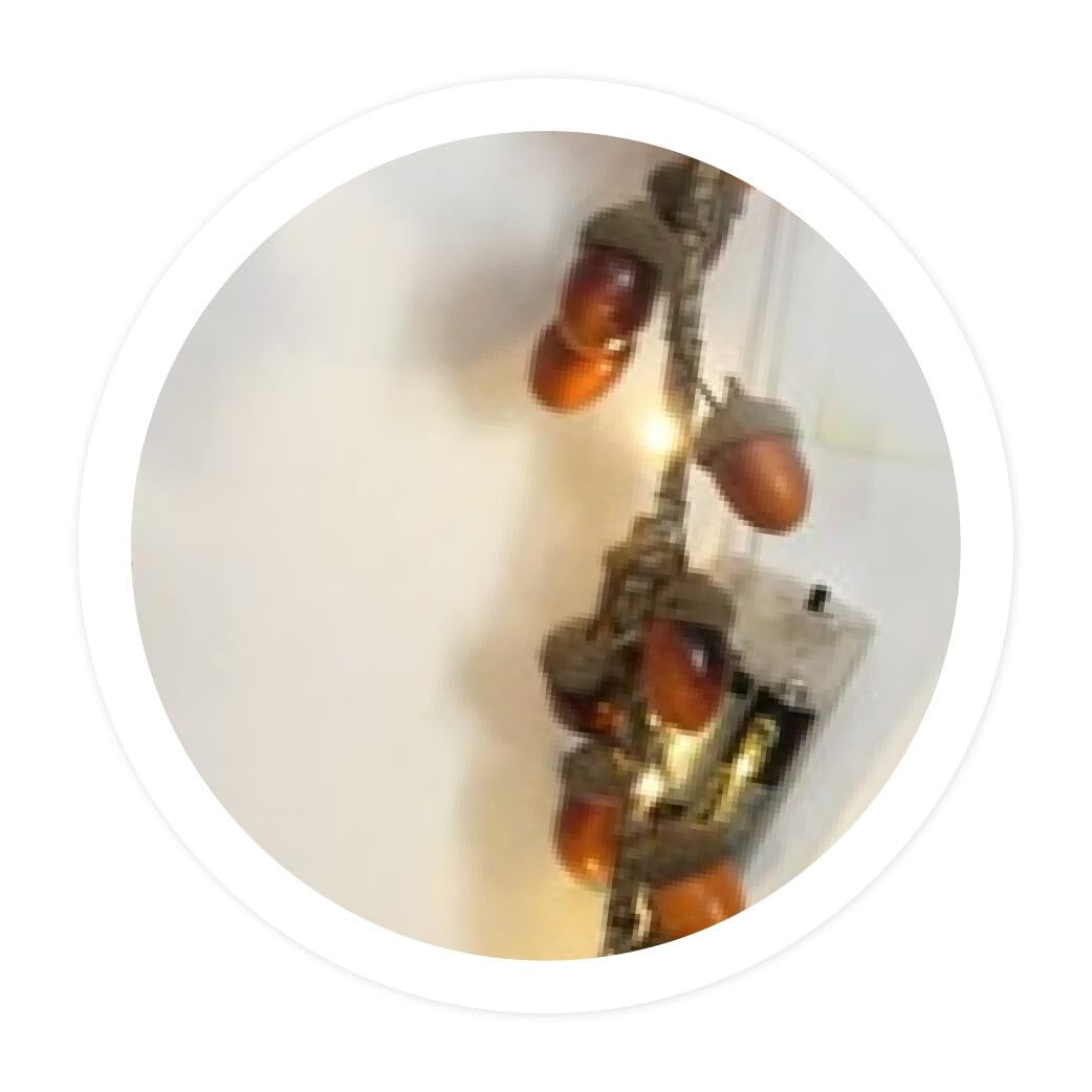 WatioWave 1m Battery Powered LED Acorn Garland