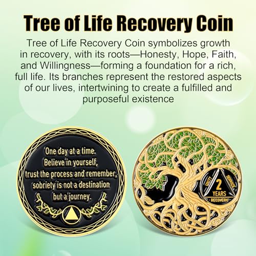 sobriety coin recovery anniversary token sobriety gifts aa chips and medallions for women mengreen2 year