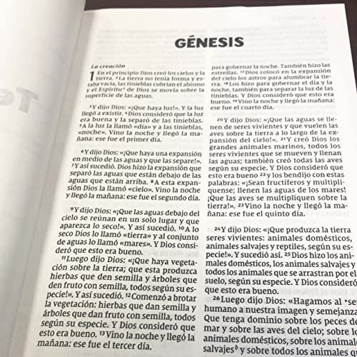 Image of NVI, Biblia para Ninos, Revision 2022, Tapa dura, Comfort Print (Spanish Edition)