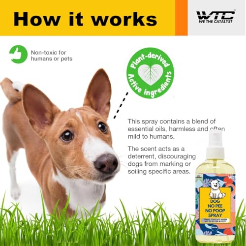 Image of WTC Dog No Pee No Poop Potty Training Spray, 500 ML - Non-Toxic Dog Spray to Prevent Peeing and Pooping - Natural No Marking Scent Spray - Stops Dogs Peeing Indoors /Outdoors