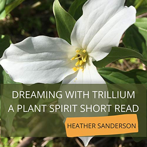 Unlock Your Ears To A Next-Level Full Audiobook.