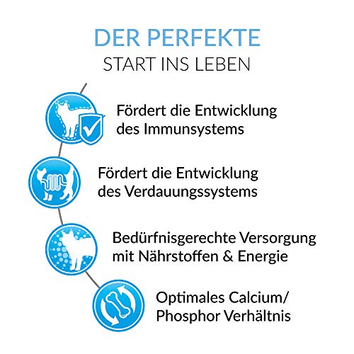 GimCat Cat-Milk Muttermilchersatz - Vitaminreiche Katzenmilch mit Taurin und Calcium - 1 Dose & EXPERT LINE Kitten Paste -1 Tube (1 x 50 g) - Image 8