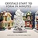 NATIONAL GEOGRAPHIC Crystal Growing Garden – Grow Two Crystal Trees in Just 6 Hours with This Crystal Growing Kit for Kids, Includes Geode, Learning Guide, and More, Great Gift for Boys and Girls