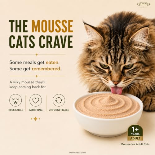Image of Grain Zero Adult Cat Wet Mousse 80g Pack of 5, (400g) | Chicken | Rich in Protein | Promotes Hydration & Easy to Digest | No Artificial Flavours | Packed with Essential Vitamins & Antioxidants